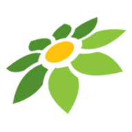 LINK SGP
